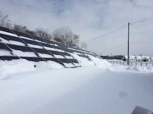※記録的大雪直後の様子